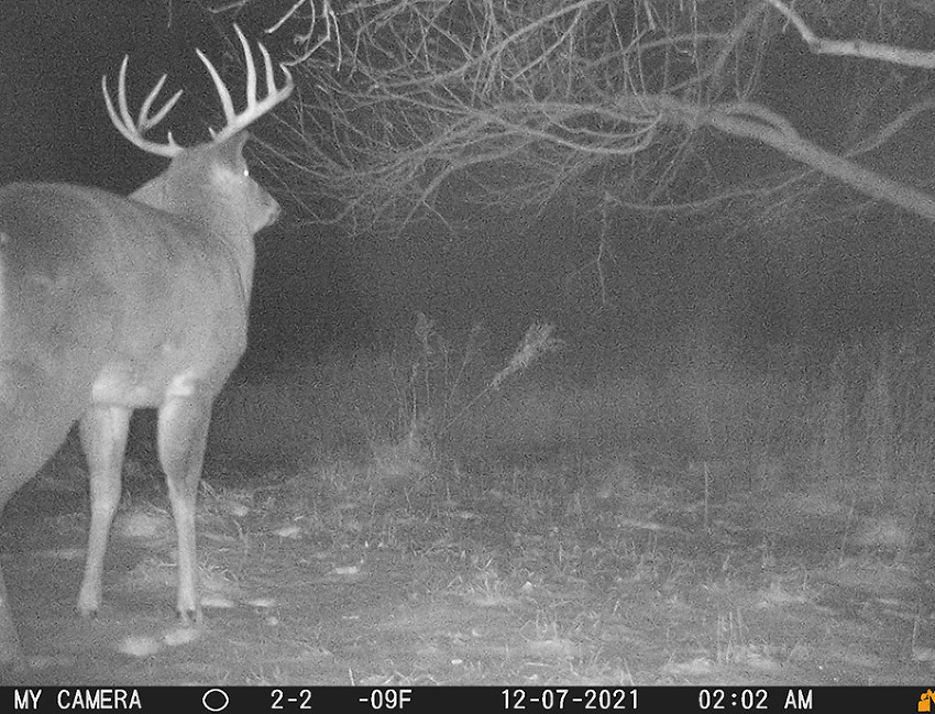 deer hunting trips in wisconsin