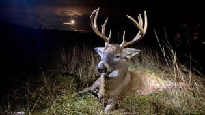 Trophy Buck Wisconsin